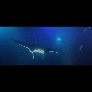 Meet your Posher, Kaitlin